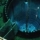 Cosmic Anomaly Analyst No.7