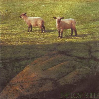 lamb1.jpg