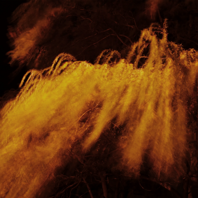 evp_0021.jpg